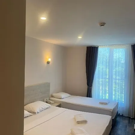 Dream Town Hotel&restaurant 3* ケメル