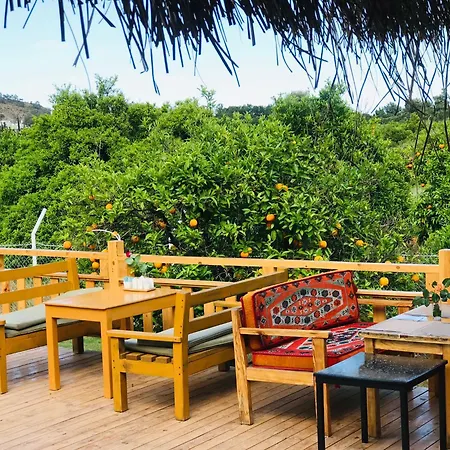 Dream Town Hotel&restaurant ケメル